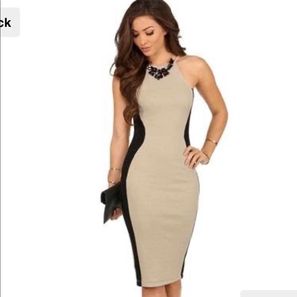 Brand New Champagne/Black Midi dress by Windsor